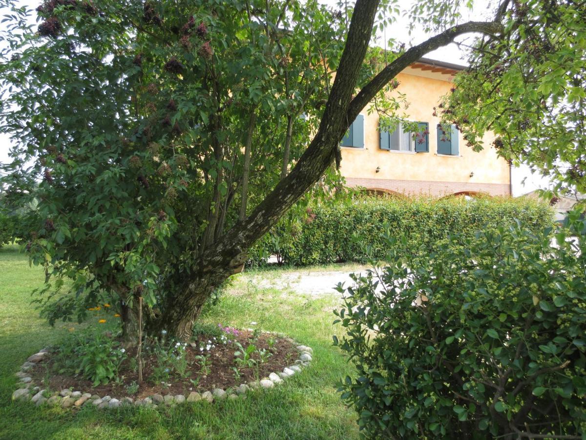 Agriturismo Parco Del Chiese Bedizzol Exterior foto